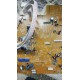 A1163191A 1-869-003-13 MAIN BOARD SONY
